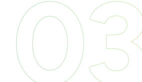 03
